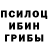 Галлюциногенные грибы ЛСД evilmelon std