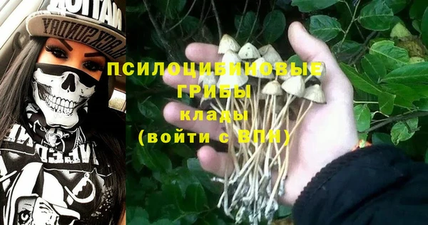 хмурый Краснослободск