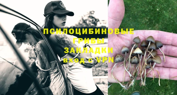 прущая мука Костерёво