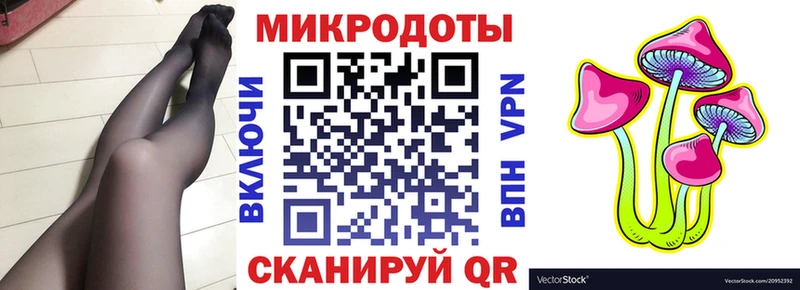 Галлюциногенные грибы Magic Shrooms  OMG tor  Кудымкар 